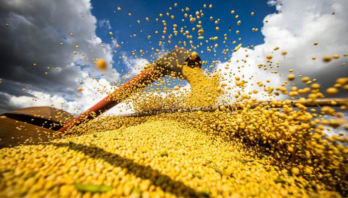  Brasil estima colheita de 354,8 milhões de toneladas de grãos 